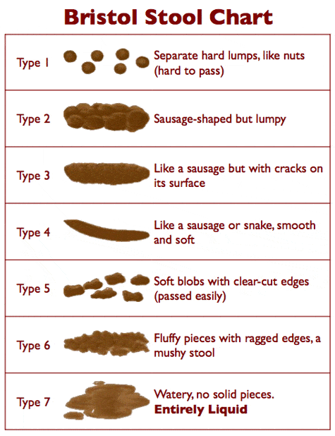 Keto Diet Constipation