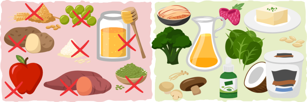 Vegan Ketogenic Diet