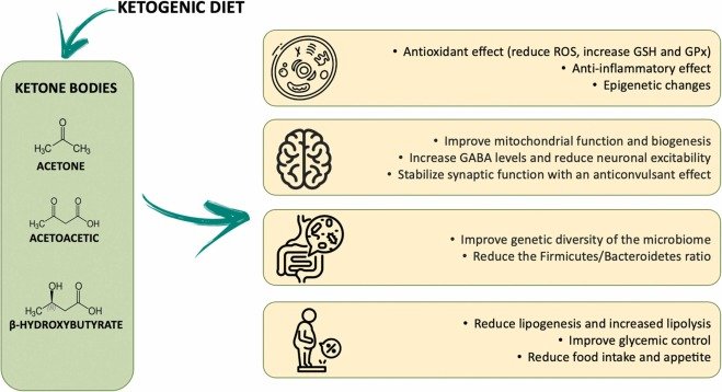 The Benefits of a Ketogenic Diet for Kids The Benefits of a Ketogenic Diet for Kids