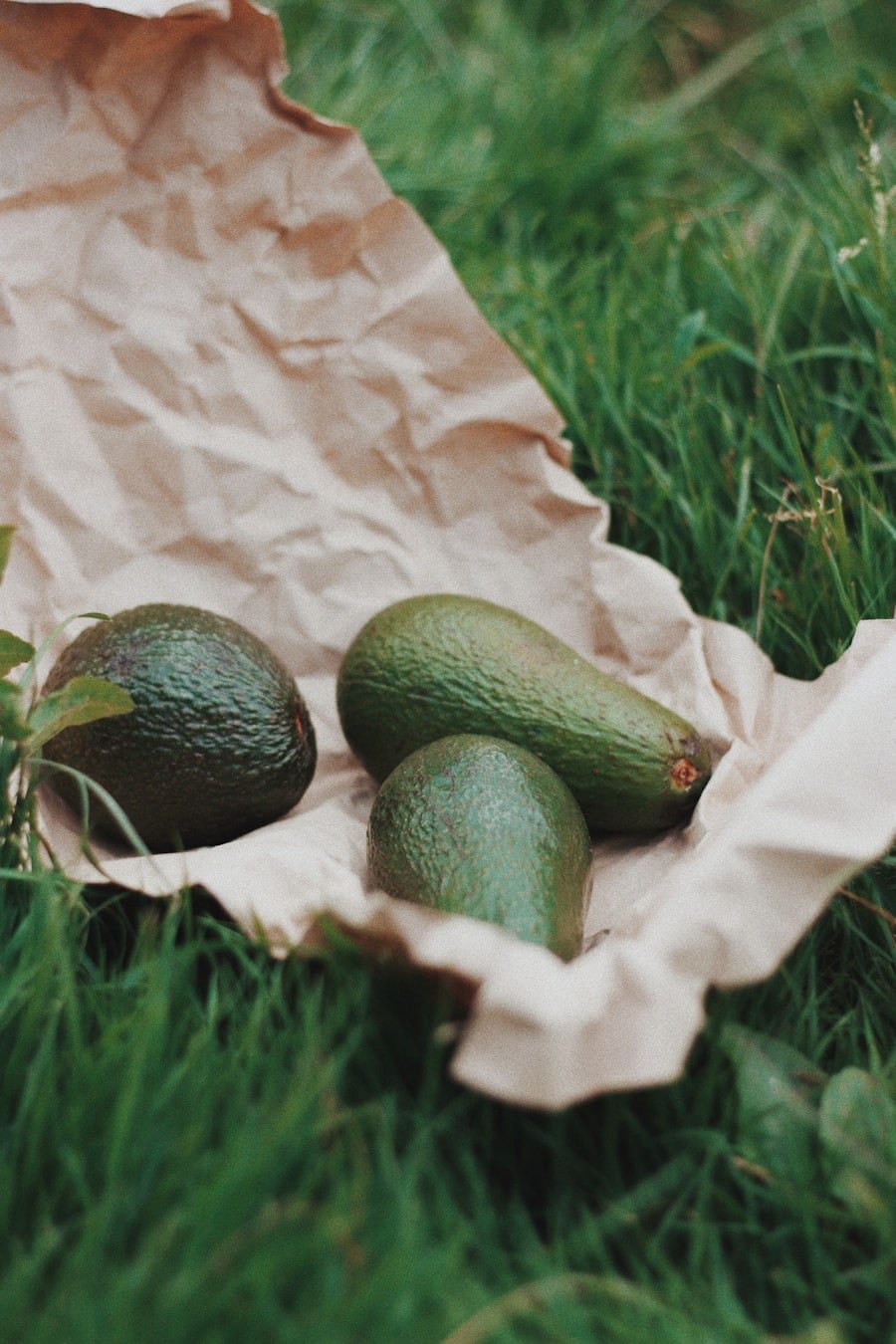 Photo "How Does the Ketogenic Lifestyle Align with Principles of Sustainability and Responsible Food Sourcing?"