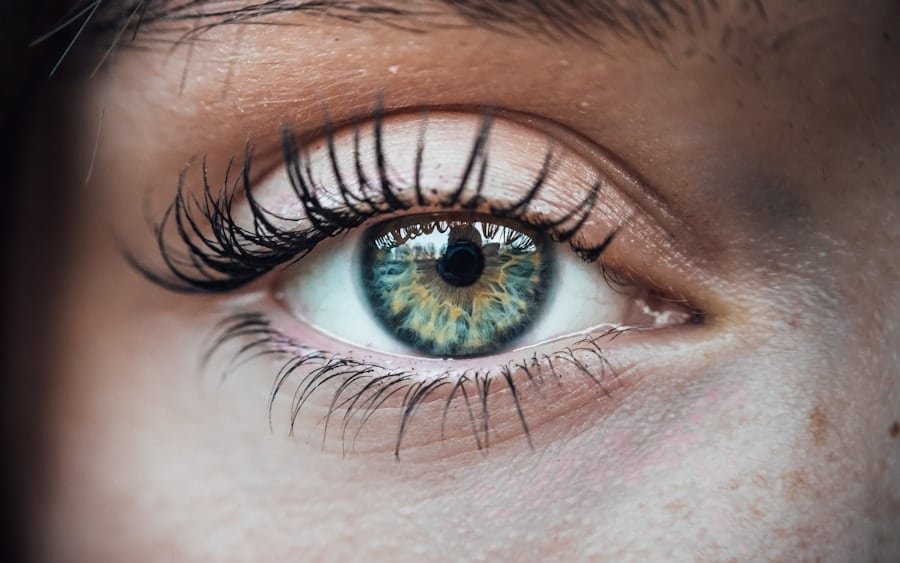 Photo "What Are the Potential Implications of Intermittent Fasting on Eye Health, and What Nutrients Are Essential for Vision?"
