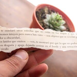 Photo "¿Se puede aprovechar una dieta cetogénica para objetivos cognitivos específicos, como mejorar el enfoque, la memoria o la claridad mental?"