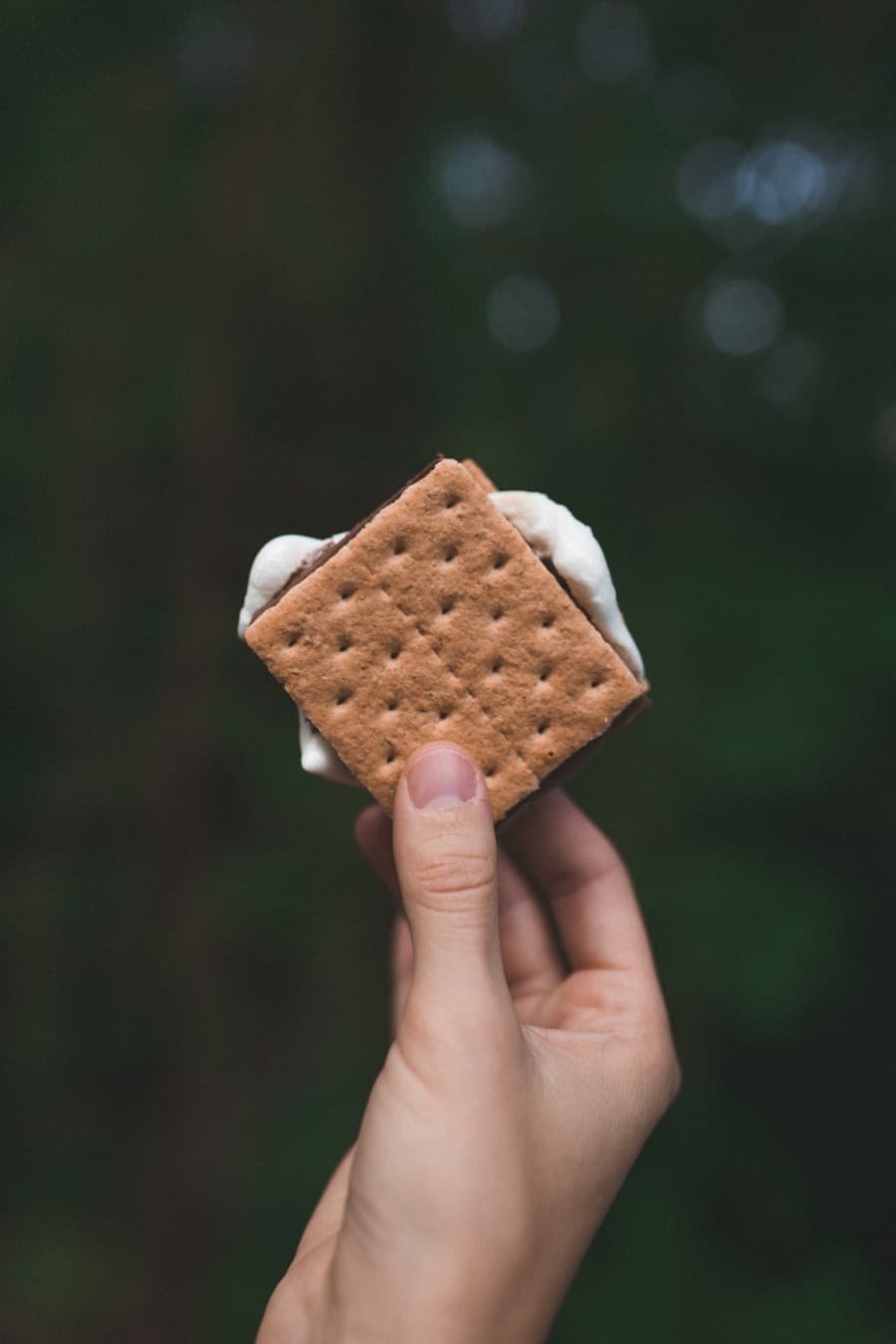 Photo "Why Do I Experience Cravings on Keto?"