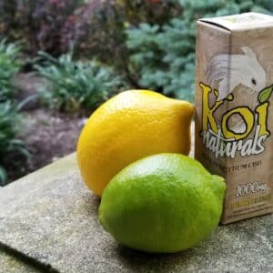 Photo "Will I Experience the Keto Flu?"