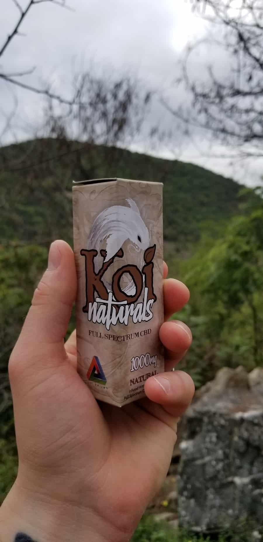 Photo "¿Me sentiré energizado con la dieta keto?"