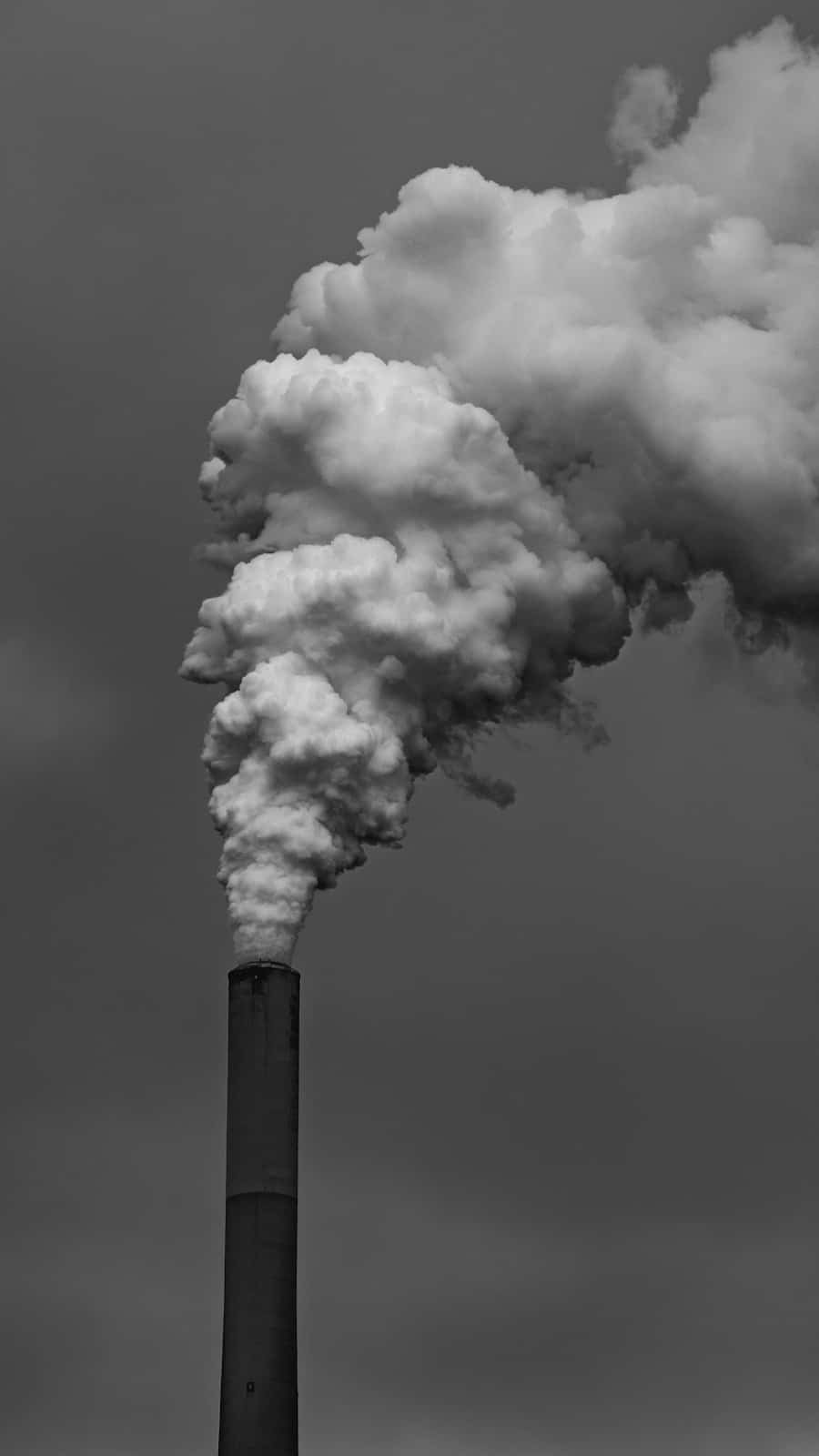 Photo "What is the Impact on Carbon Dioxide Levels?"