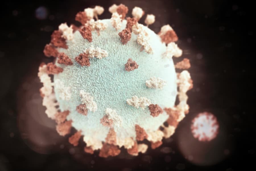 Photo "What is the Impact on Immune Function?"