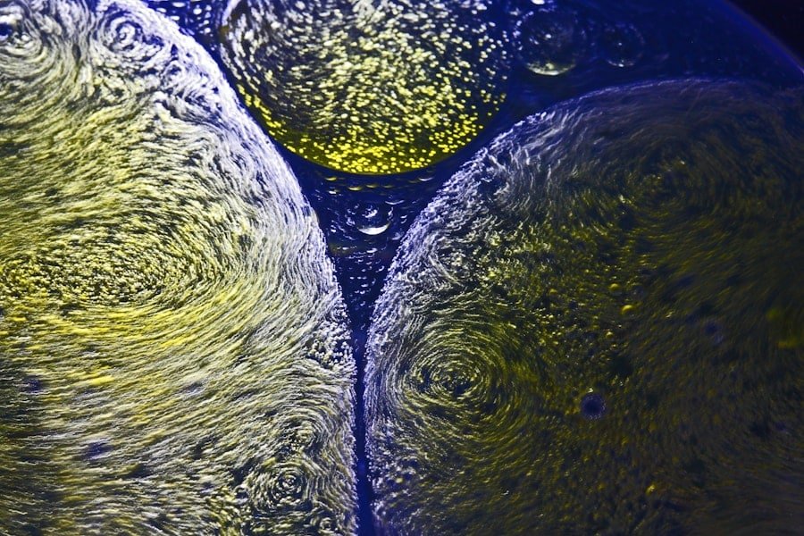 Photo "How Does Keto Affect Stem Cells?"