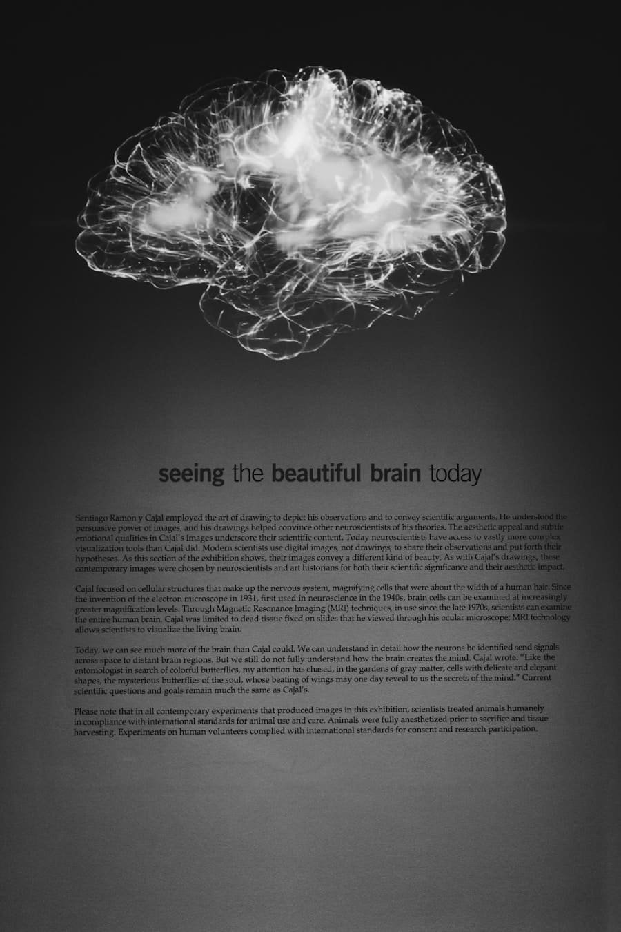 Photo "What Happens to Cognitive Function?"