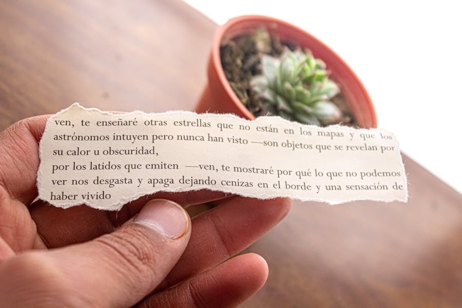 Photo ¿Qué le sucede a la función mitocondrial?