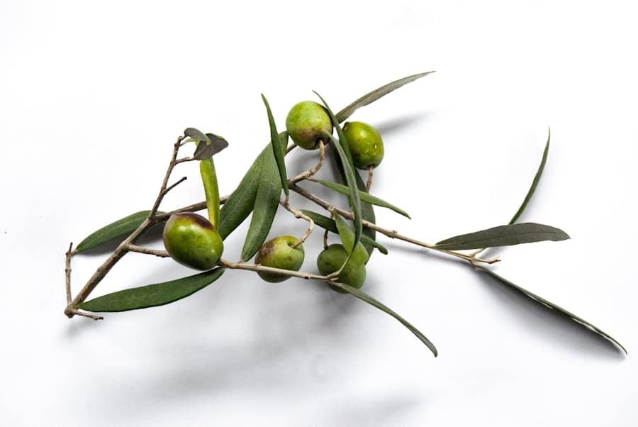 Photo "Can I Have Olives on a Ketogenic Diet?"