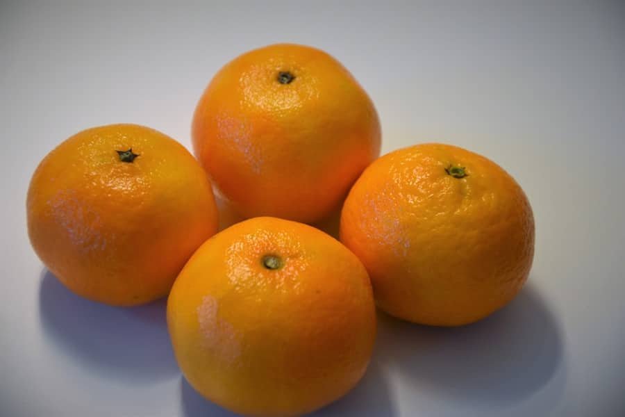 Photo "Can I Have Oranges on a Ketogenic Diet?"