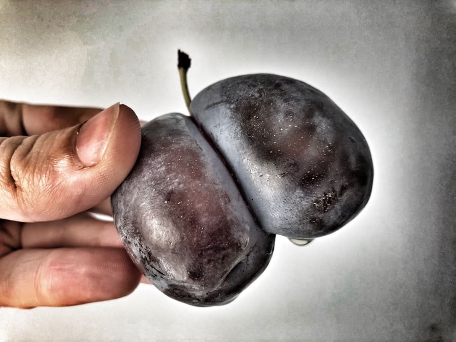 Photo "Can I Have Plums on a Ketogenic Diet?"