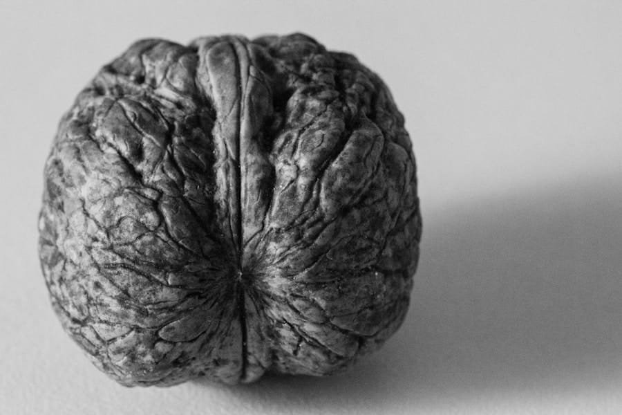 Photo "Can I Use Ketosis to Improve My Brain Function?"