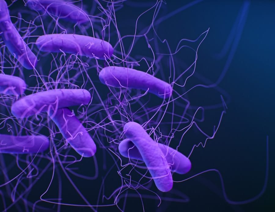 Photo "Can Keto Improve Bacterial Balance?"