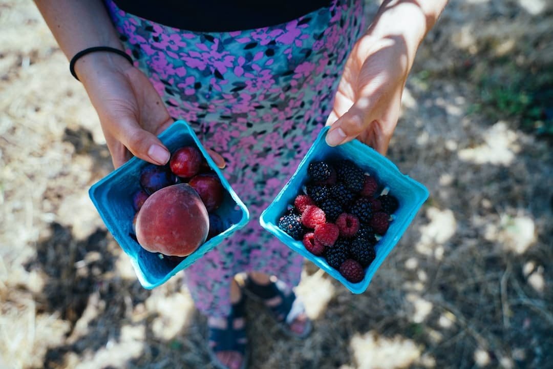 Photo Fresh peaches