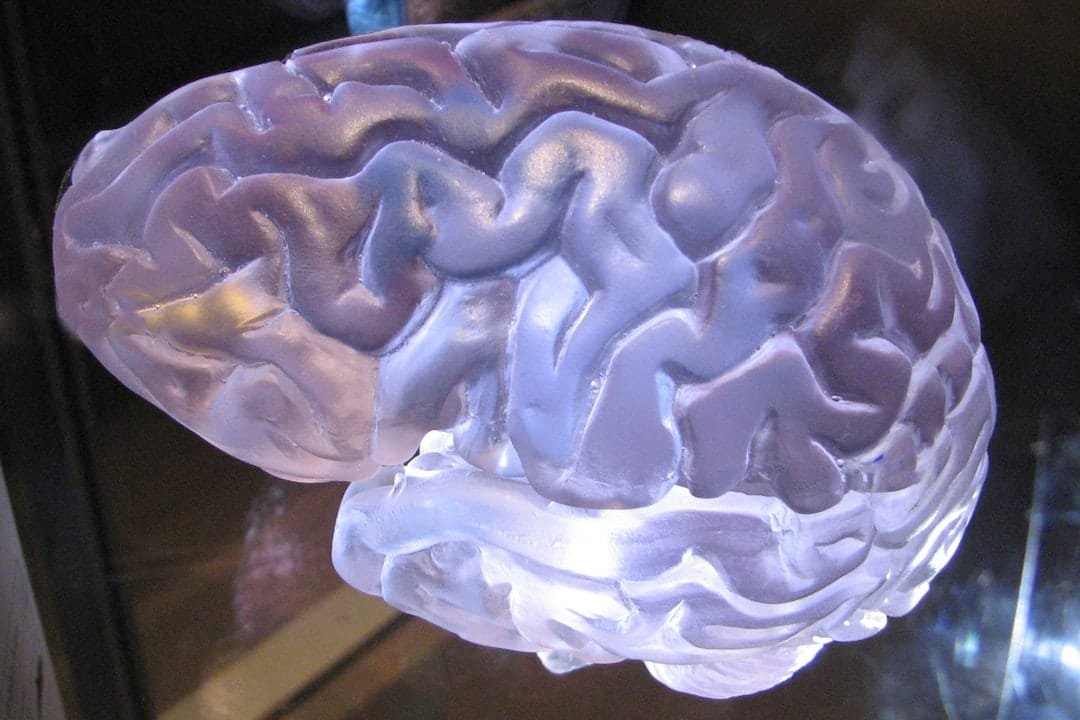 Photo Brain chemistry