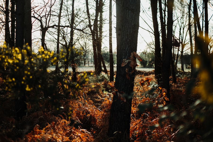 Keto Before and After Photos