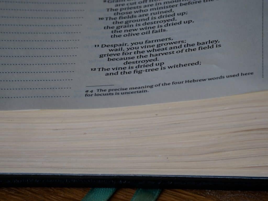 Photo Keto Plan Pdf