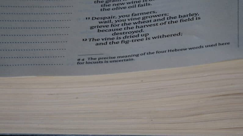 Photo Keto Plan Pdf