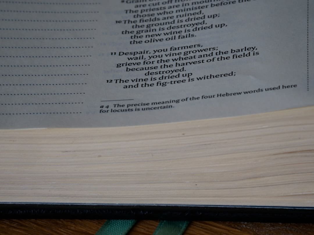 Photo Keto Plan Pdf