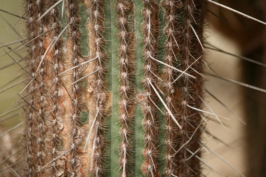 Photo Female Pattern Hair Loss on Keto
