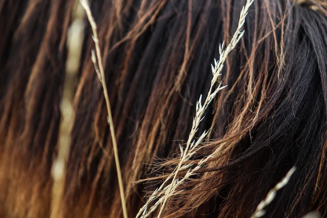 Photo Keto Hair Loss