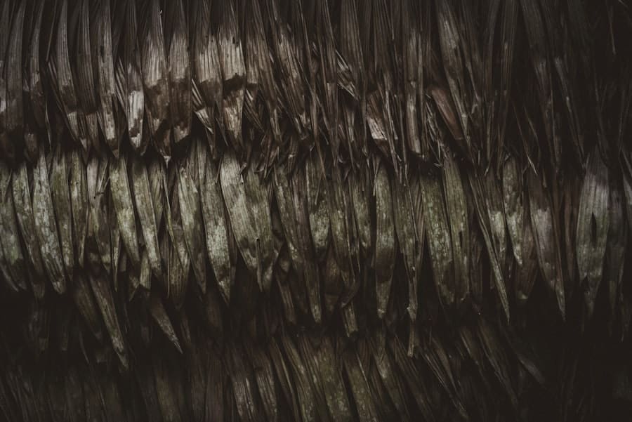 Photo Keto Hair Loss