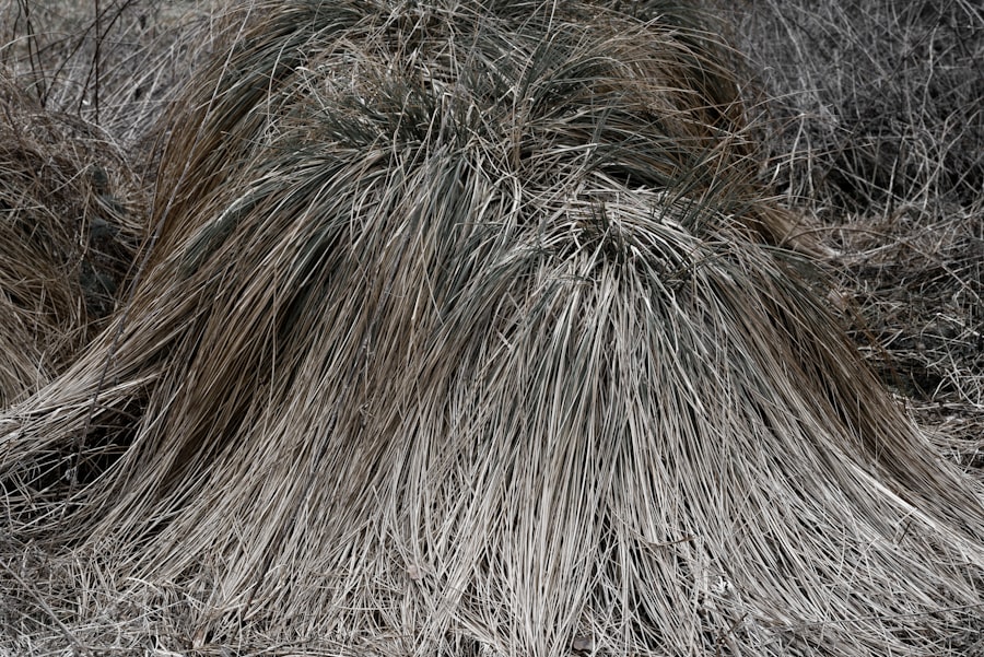 Photo Keto Hair Loss