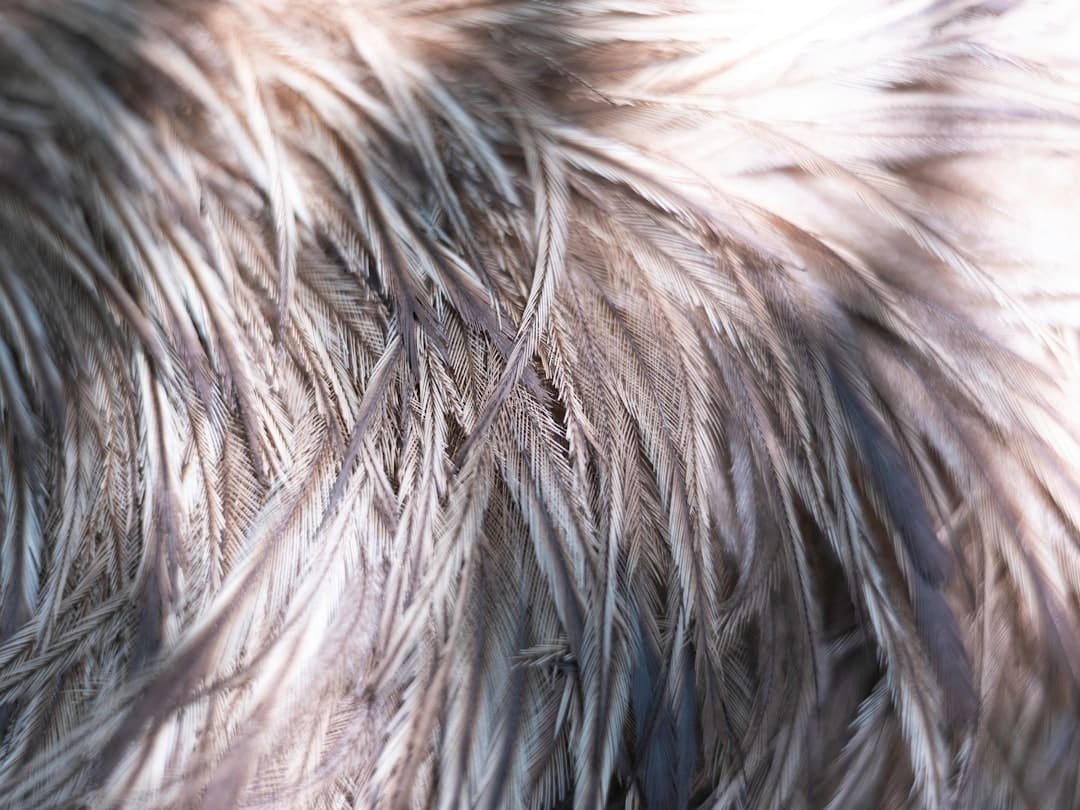 Photo Hair Shedding on Keto
