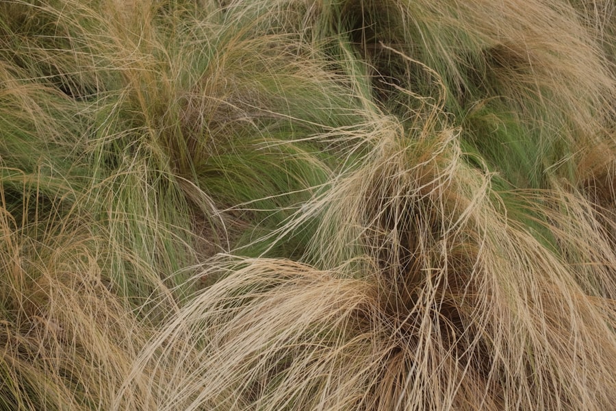 Photo Keto Hair Loss