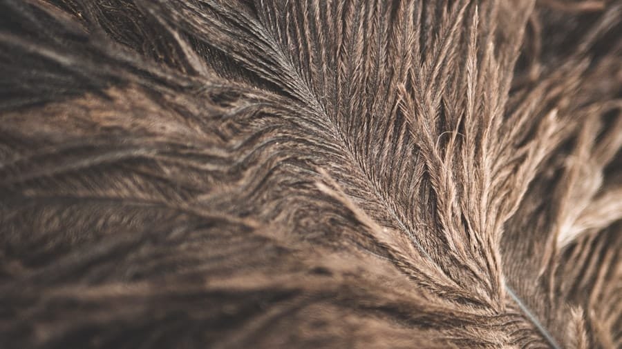 Photo Keto Hair Loss Remedies