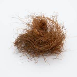 Photo Keto Hair Loss