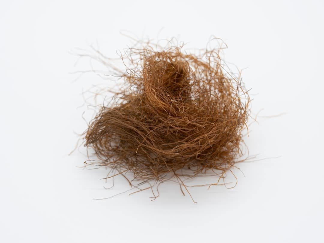Photo Keto Hair Loss