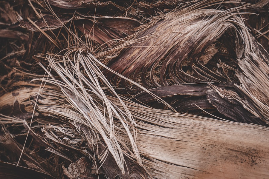 Photo Keto Hair Loss