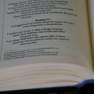 Photo Keto Diet Cookbooks