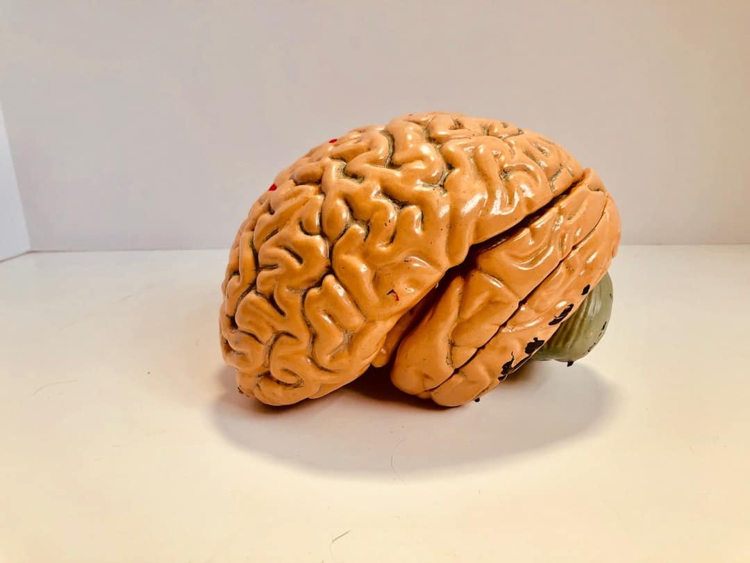 Photo Keto and Epilepsy
