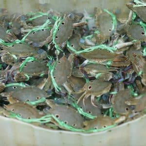 Photo Low Carb Paleo Keto