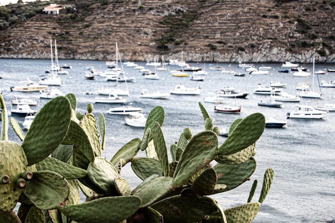 Photo Mediterranean Keto for Athletes