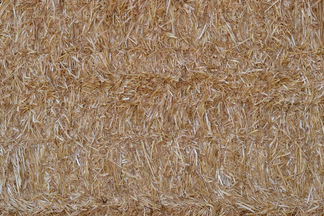 Photo Fiber Deficiency Keto