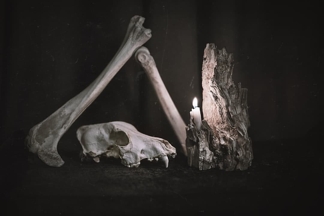 Photo Bone Health