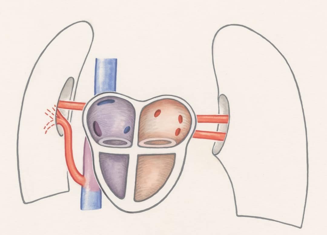 Photo Keto and Kidney Function