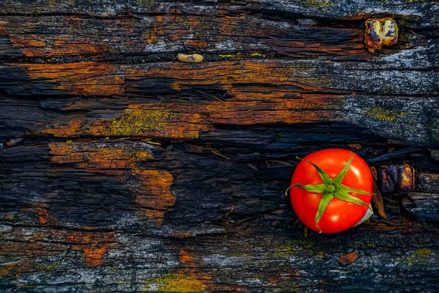 Photo Foods