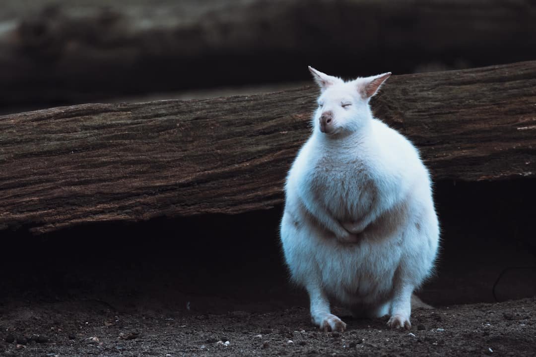 Photo Keto Weight Loss