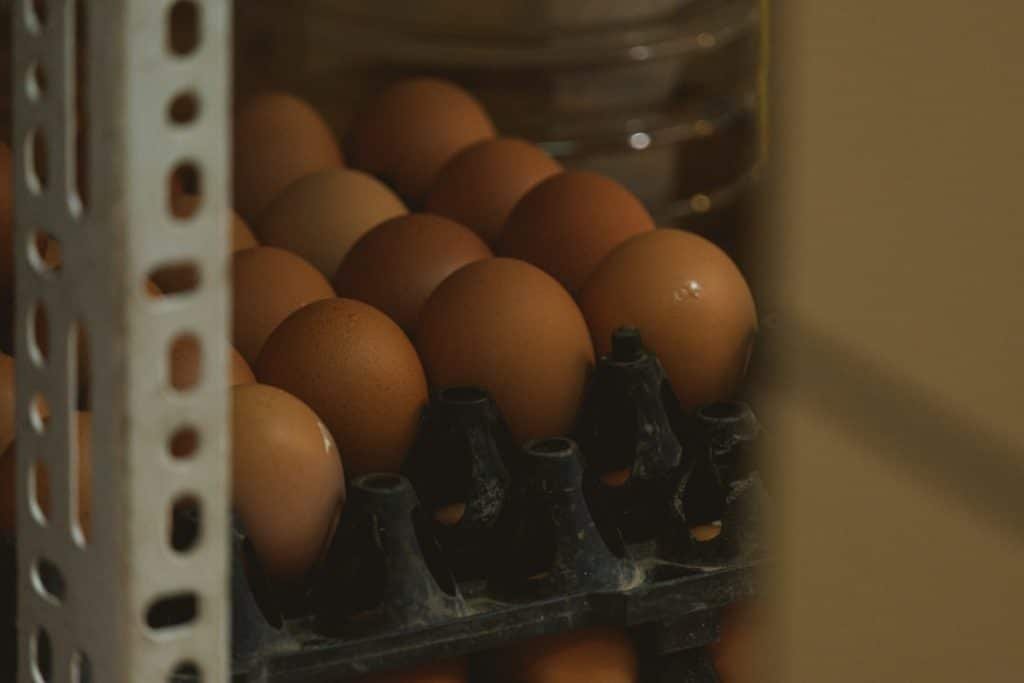 Photo Keto Egg Meals