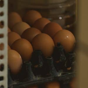 Photo Keto Egg Meals