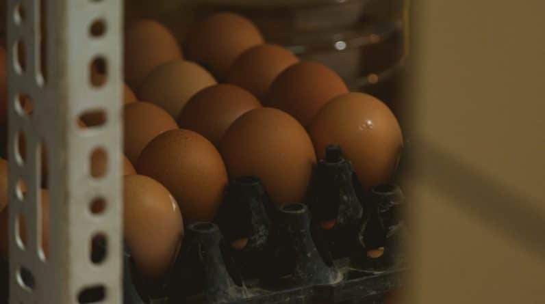 Photo Keto Egg Meals