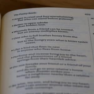 Photo Low Carb Recipes Pdf